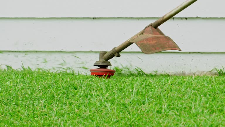 How Our Tree Care Process Works  in  Little Elm, TX
